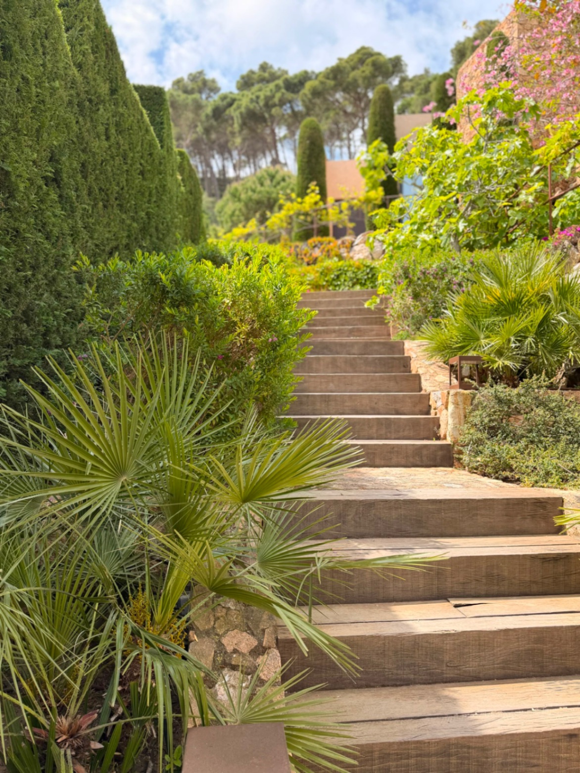 Tuintrap door mediterrane beplanting