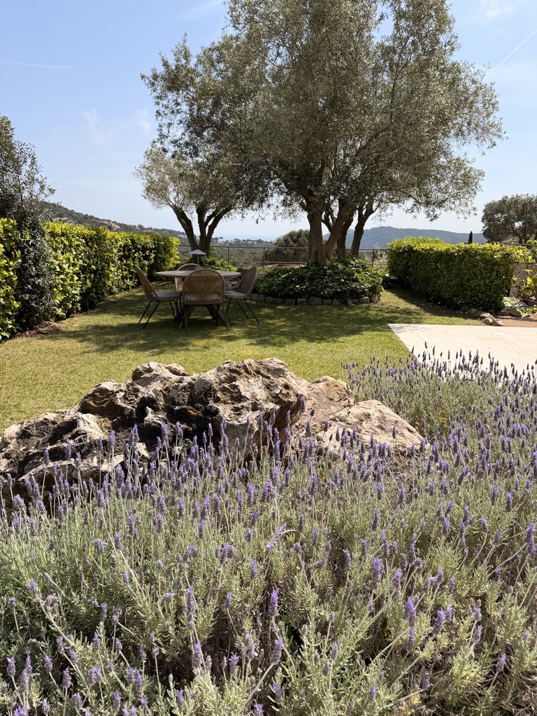 Een tafel onder de olijfbomen — Casa Mimosa, Begur